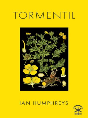 cover image of Tormentil